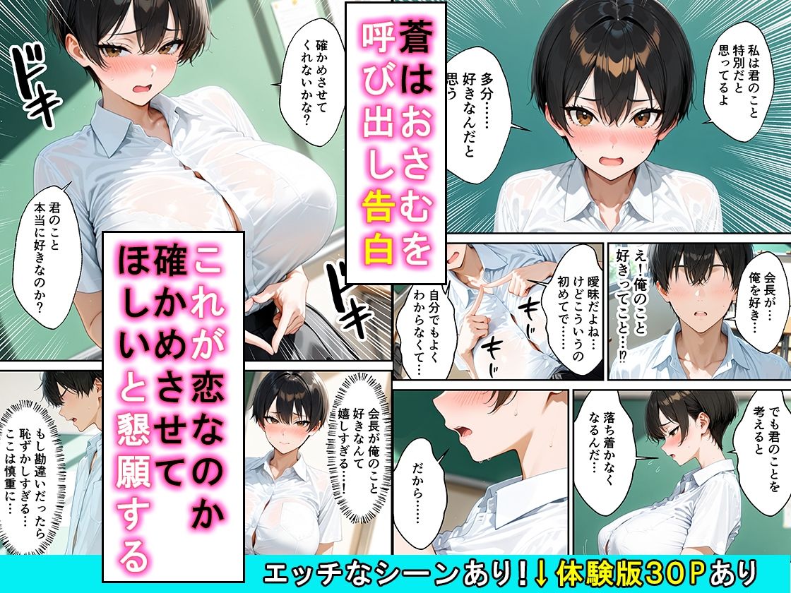 女の子扱いされたい王子様な生徒会長があまあま中出しセックスでメスになる話 画像5