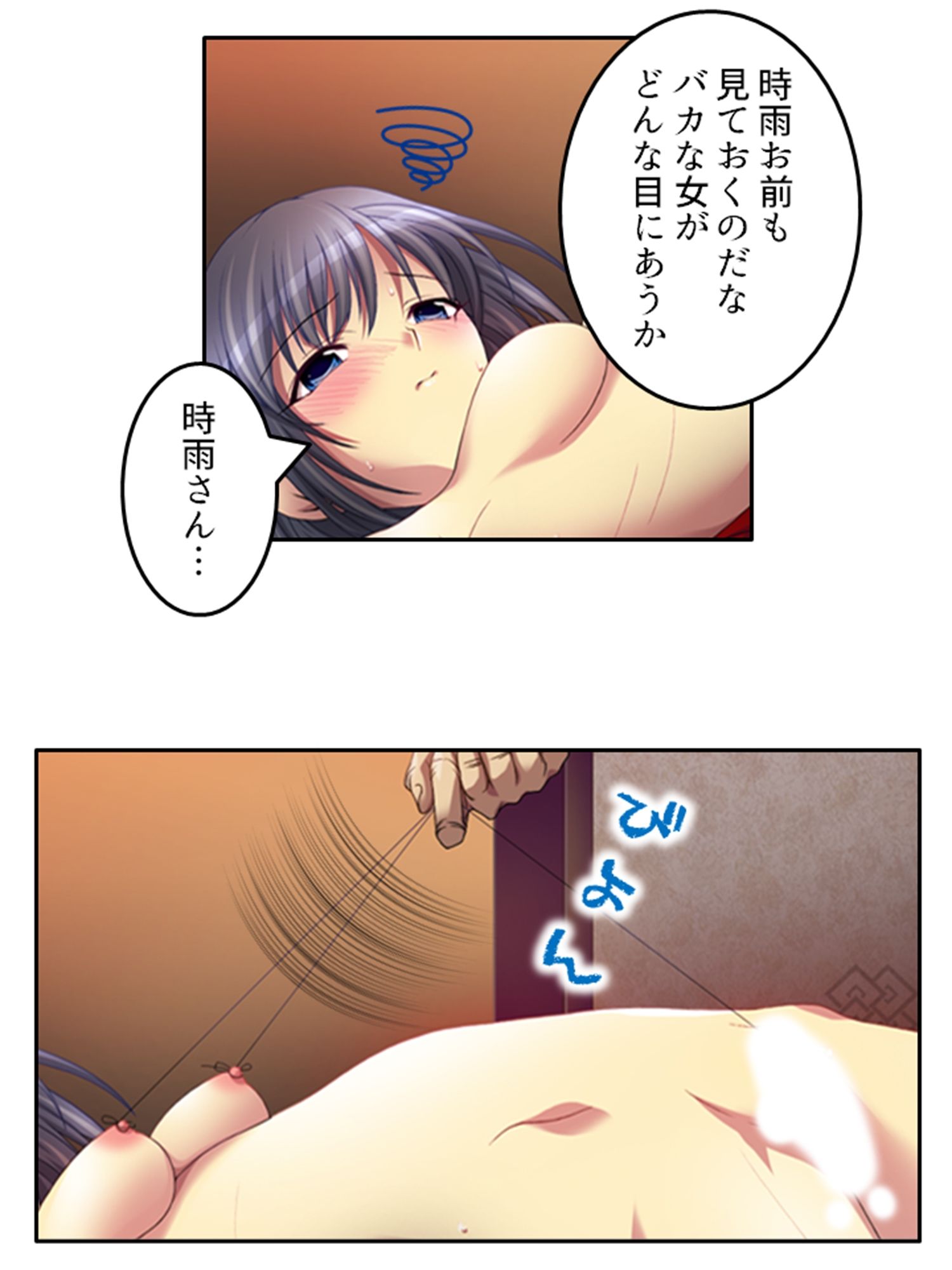 遊郭を舞台にした復讐劇の総集編同人作品