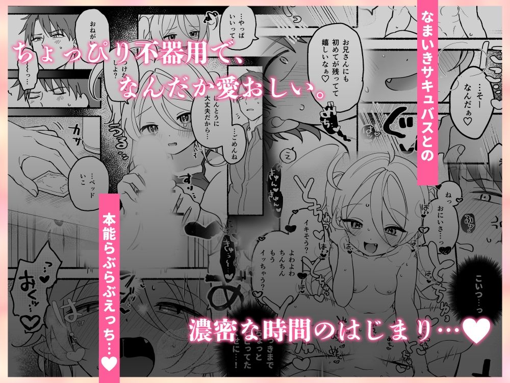 生意気処女サキュバスを拾ってしまいましたのサンプル画像4
