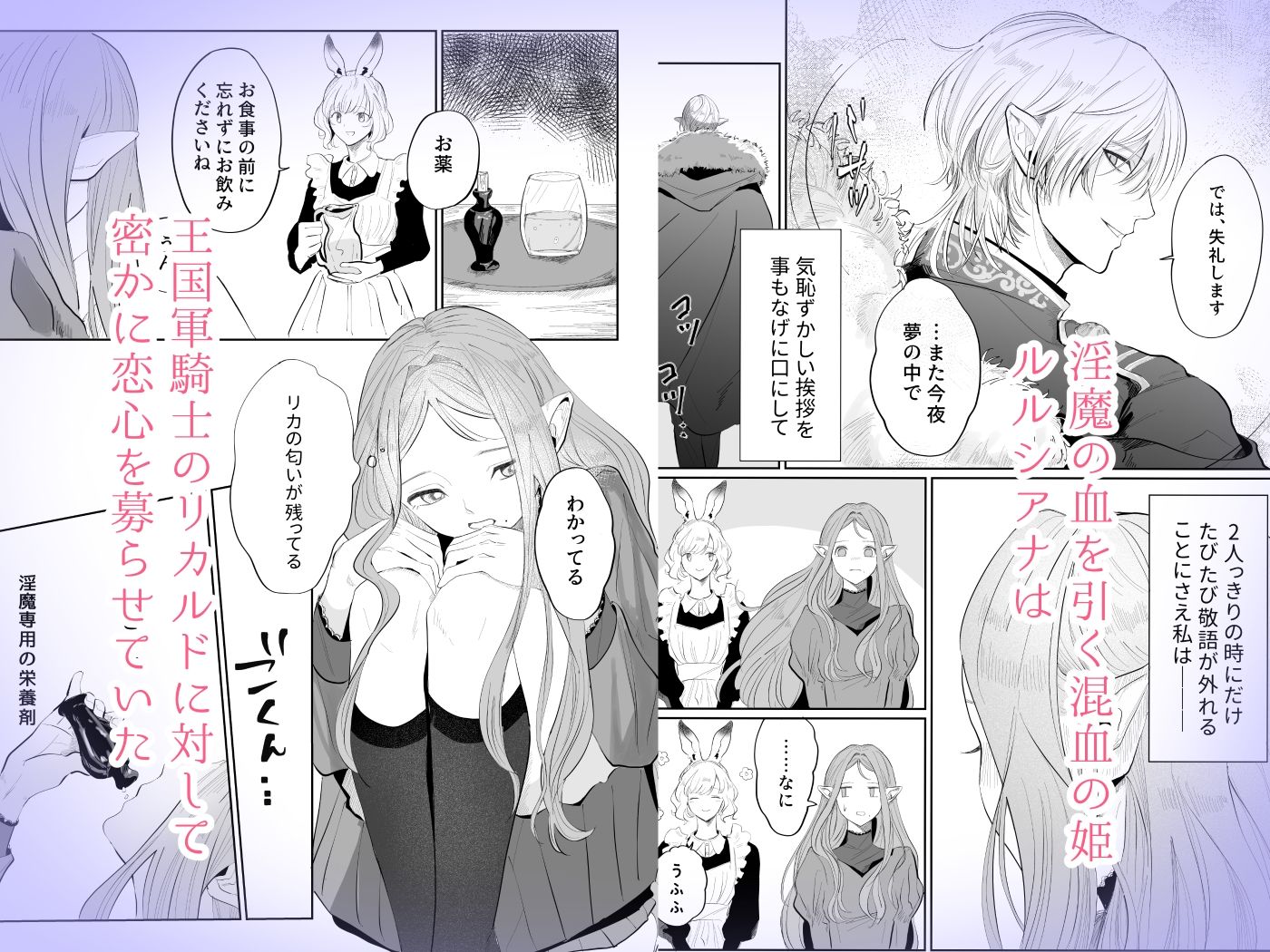 姫様は初恋騎士しか欲しがらない サンプル1