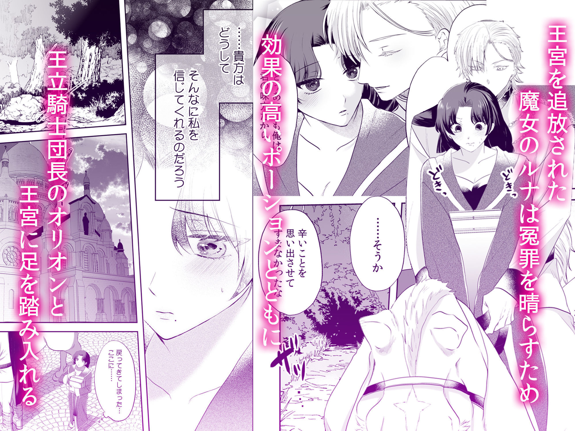 追放魔女は冷酷騎士の重すぎる愛に気付かない〜何度イッても終わらない暴走発情...のサンプル画像3