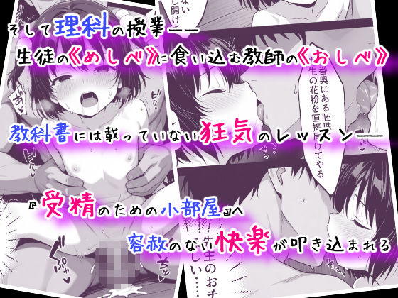 サンプル画像4