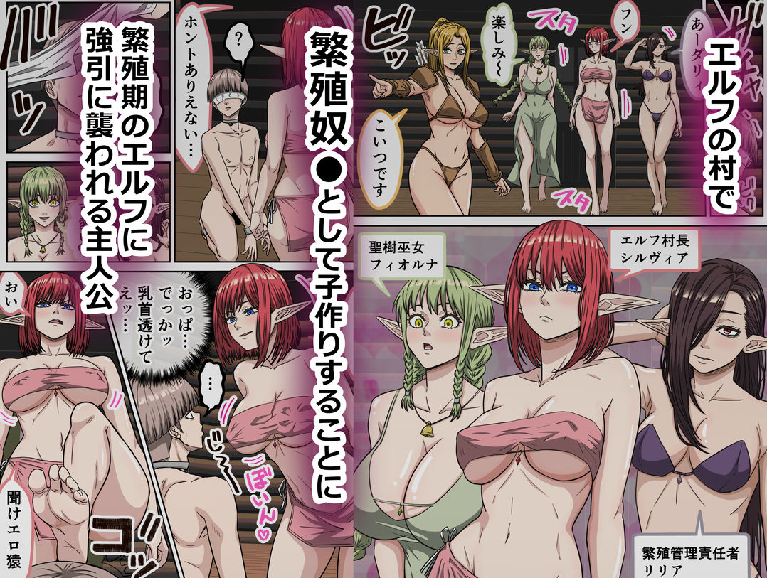エルフ村で繁殖奴●になりました_2