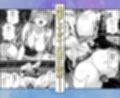 おっぱい揉み放題！禁止行為無し！避妊不要！セクキャバ嬢の過激サービス〜ララ編