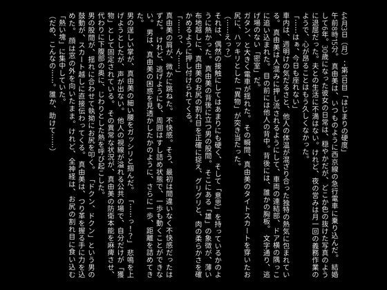 【官能小説】快楽の通姦快速【画像200枚以上（差分含む）】 画像9