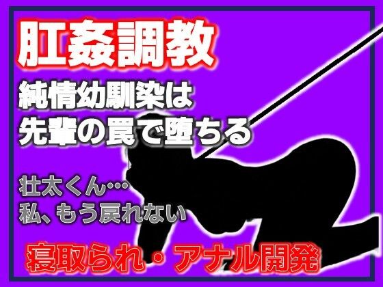 美空 〜堕ちた清楚系JDの肛姦調教日誌〜 表紙