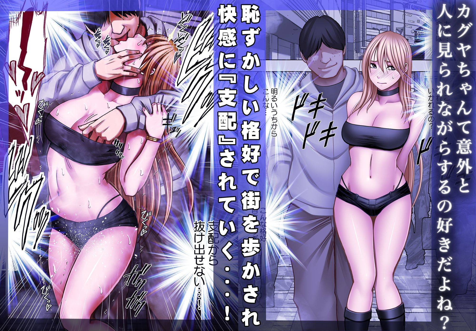 退魔士カグヤ辱if アニメ・動画