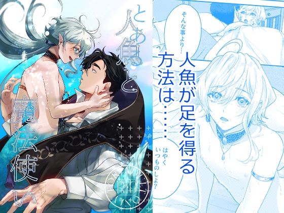 とある人魚と魔法使いのタイトル画像