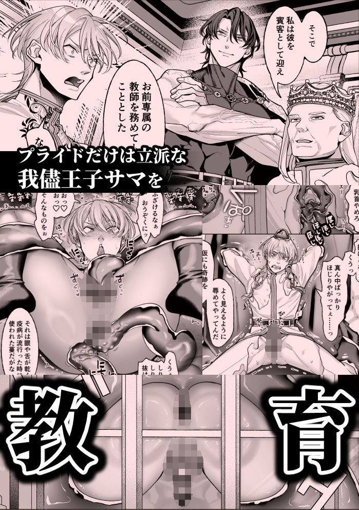 高慢王子を無様に理解らせ愛玩堕とし【合本版】 画像5