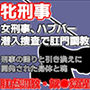 雌刑事・ハプバー潜入捜査で肛門調教され堕ちる