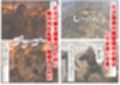 《戦の乱取り（略奪）》 戦国時代の農村に俺が転生したら、エロすぎた史実の話
