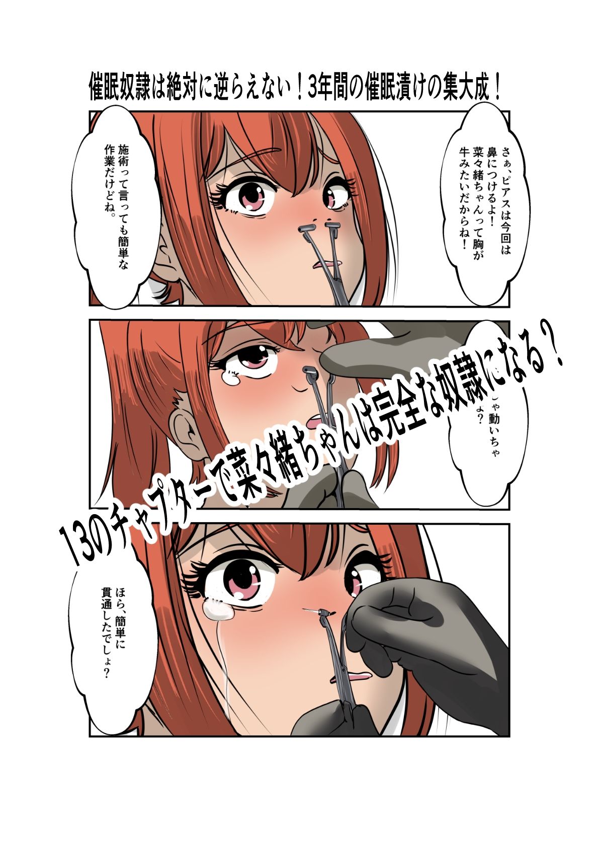 菜々緒ちゃんで遊ぼう！〜私は貴方の専用玩具です〜 | 同人データベース