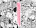 【総集編】Happy cherry blossom 2