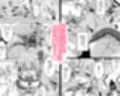 【総集編】Happy cherry blossom 2
