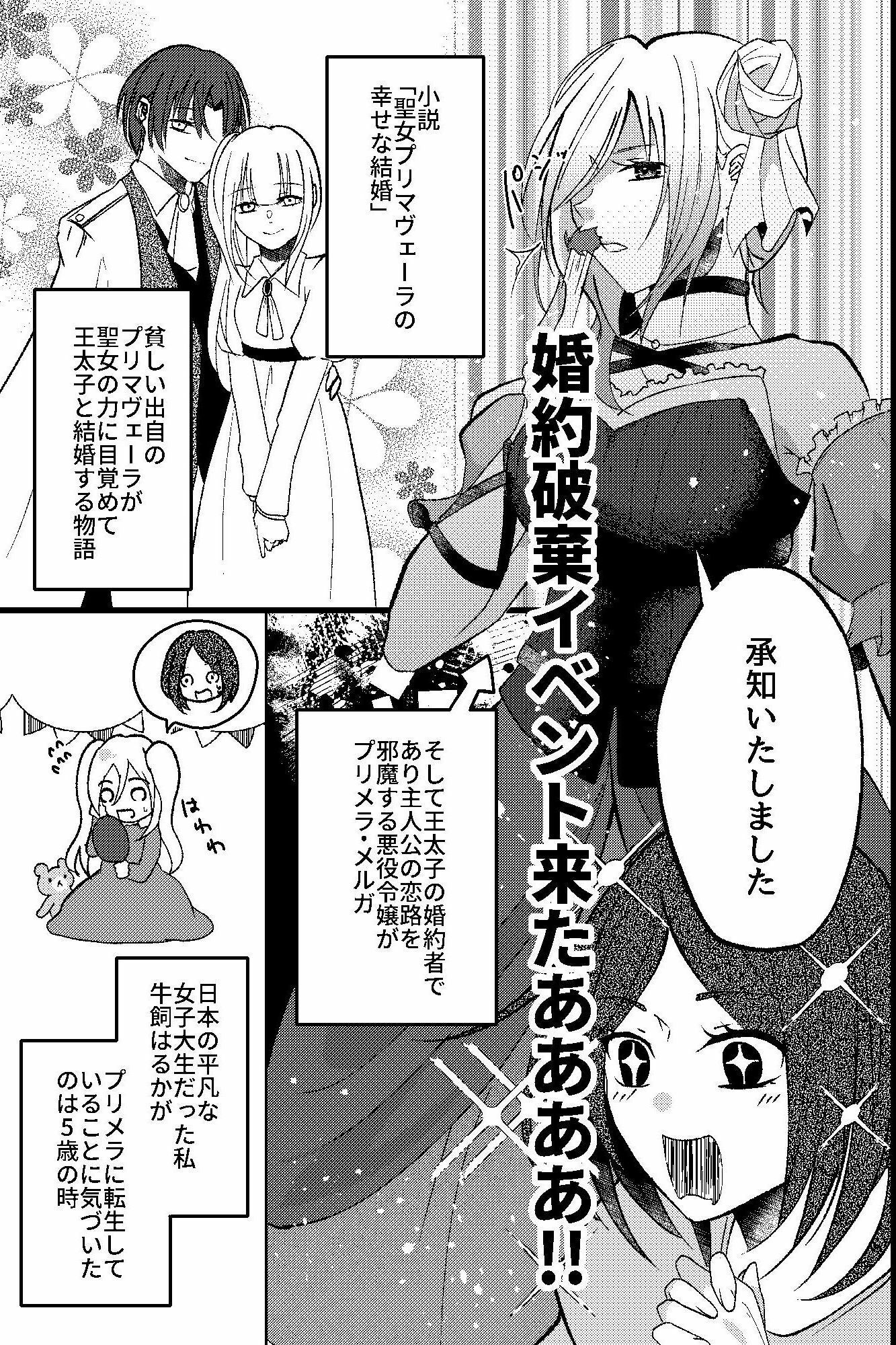 転生悪役令嬢の淫らな断罪〜第二王子と側近たちに媚薬調教される逆ハーレム〜 サンプル2