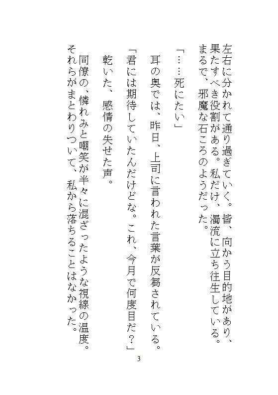 五月病で会社をリタイヤした地味な私がハイスペ義兄に拾われて、軟禁された密室でクリトリスを剥かれ連続絶頂と中出し飼育で廃人に堕ちる サンプル2