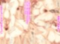 無口で爆乳女子ちゃんをひんむいて指導してみたら  中出し回数で進級できる学園