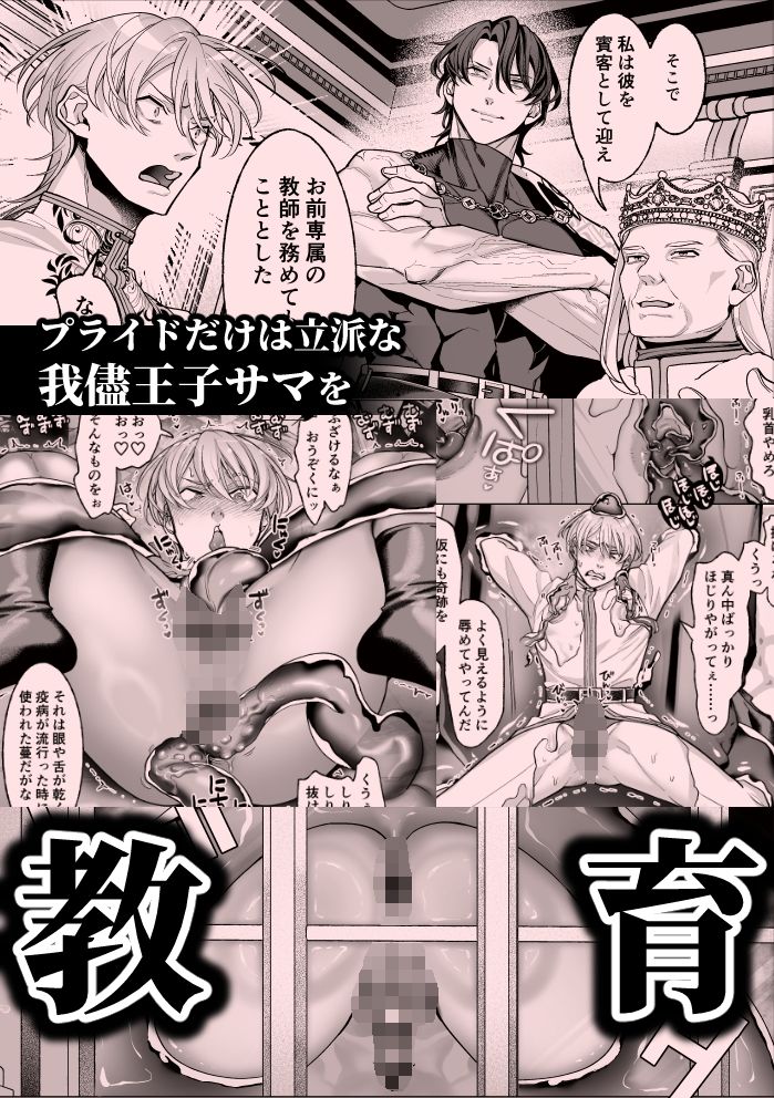 高慢王子を無様に理解らせ愛玩堕とし【分冊版1】 サンプル5