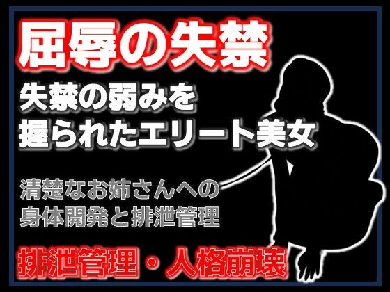 密室の聖女失禁:エレベーターに閉じ込められた清楚な年上美女をペットボトル排尿で屈服させた夜 画像1