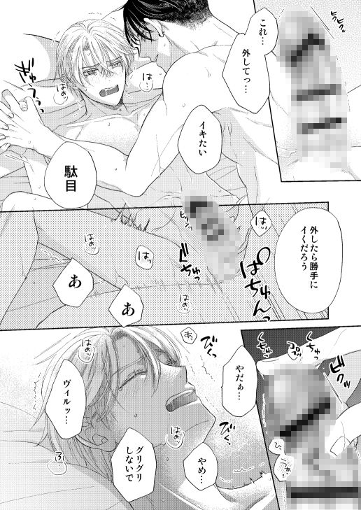 辺境伯騎士の執着婚 サンプル9