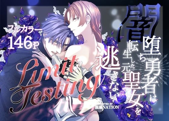 Limit Testing〜闇落ち勇者は転生した元聖女を逃さない〜