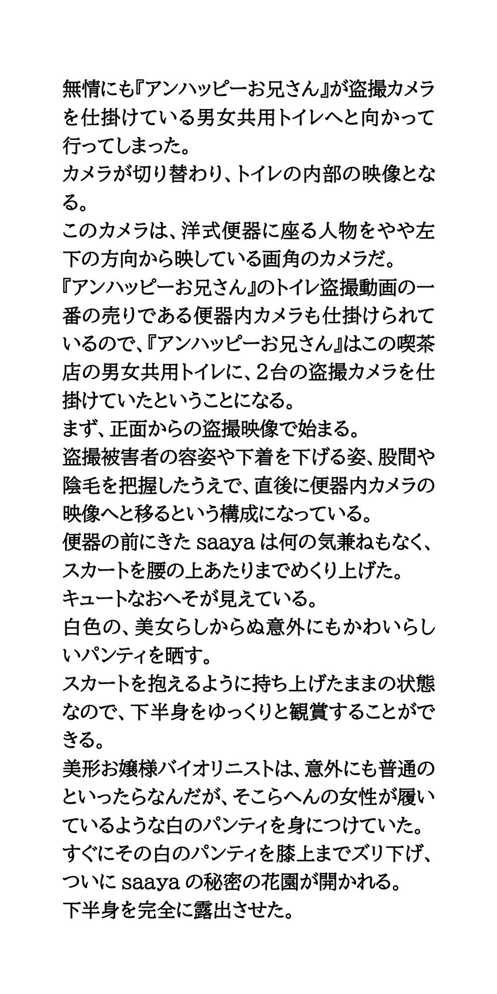 【身近に潜む現代の闇】実際に起こった盗撮事件簿（2）。美人バイオリニスト、トイレ盗撮事件 8枚目