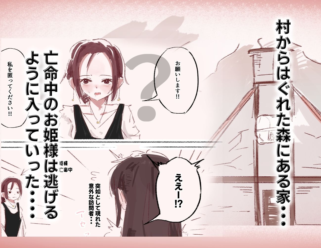 亡命お姫様はふたなりお姉さんのオナホ 画像1