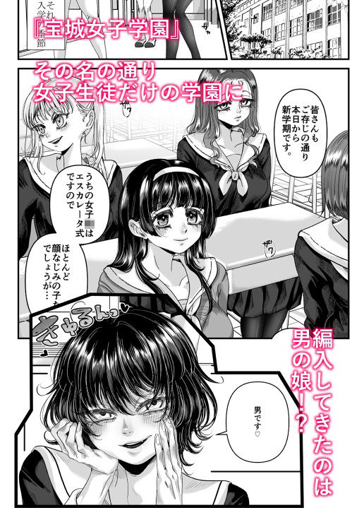 男の娘も女子校に入れるってホント？ 画像2