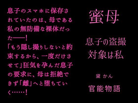 蜜母 〜息子の盗撮対象は私〜 画像1