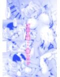 椛ちゃんとご主人様