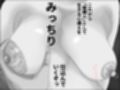 フレッシュな肉便器  モノクロ版