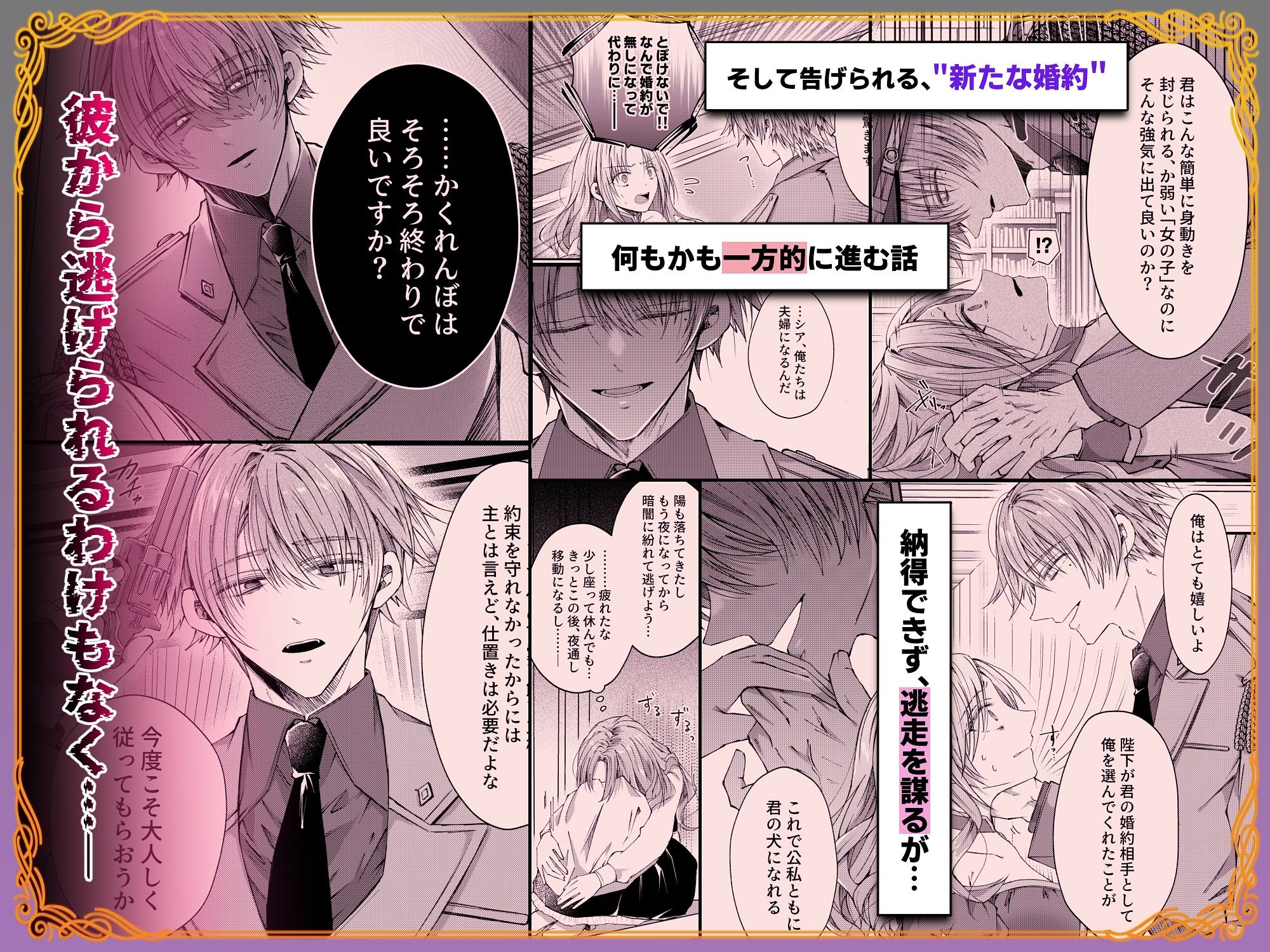 姫様に忠誠を誓ったはずの軍人は、逆に誓いを求める狂犬になりました サンプル4