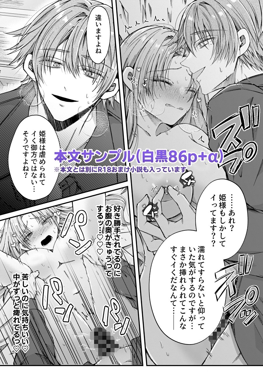 姫様に忠誠を誓ったはずの軍人は、逆に誓いを求める狂犬になりました サンプル10