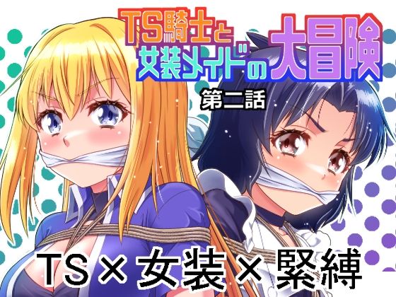 TS騎士と女装メイドの大冒険第2話のタイトル画像