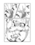 人体改造お姉ちゃん複乳化全宇宙配信
