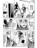 雌♀オク -即決希望★新品未使用、女性エスピー23歳★種付け可能 サンプル画像6