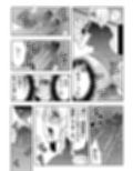 雌♀オク -即決希望★新品未使用、女性エスピー23歳★種付け可能 サンプル画像9