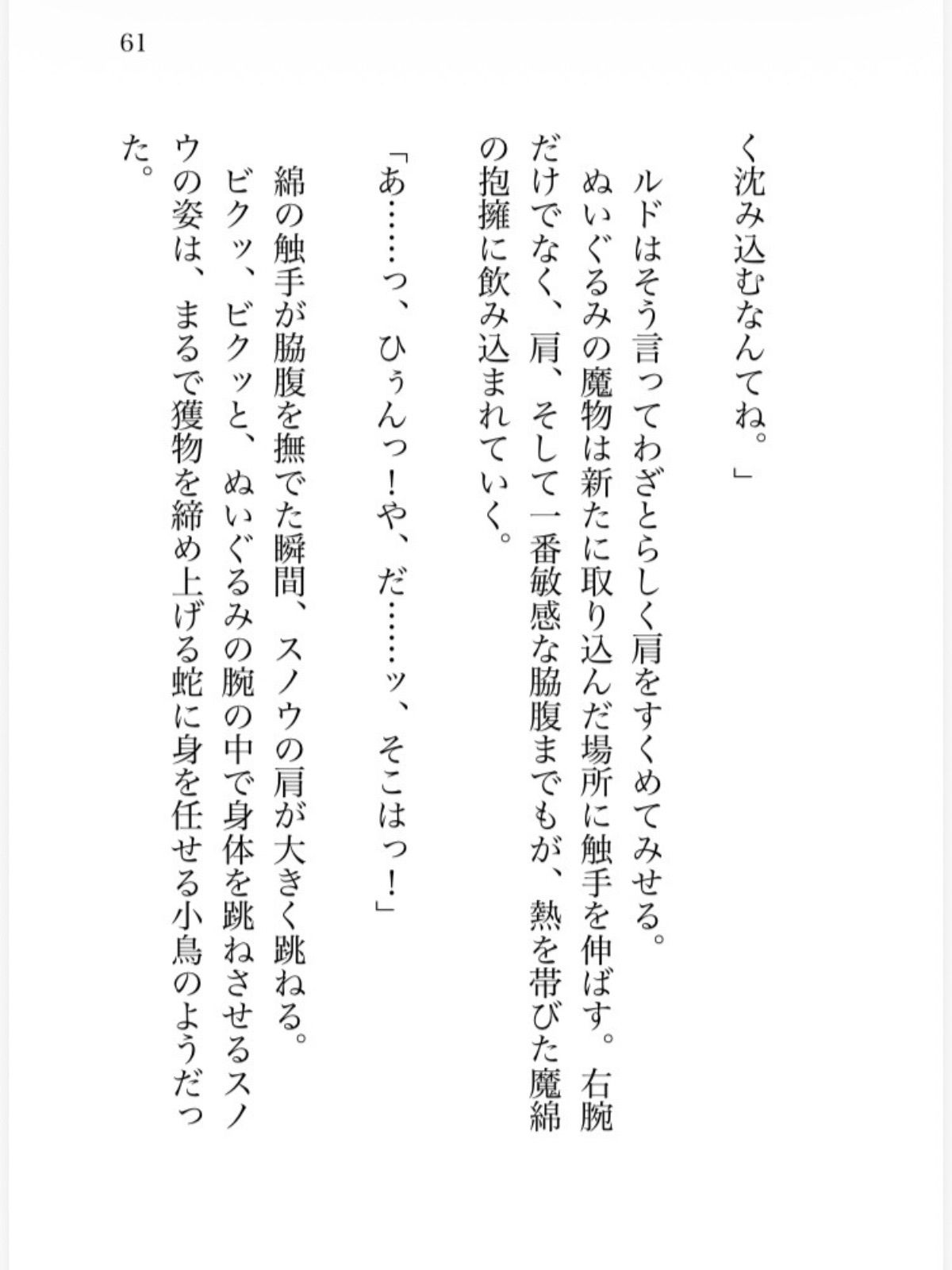 氷の魔法少女は魔族幹部の執着熱に甘く溶かされる
