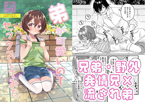 弟が可愛いのでセックスしてみたのタイトル画像