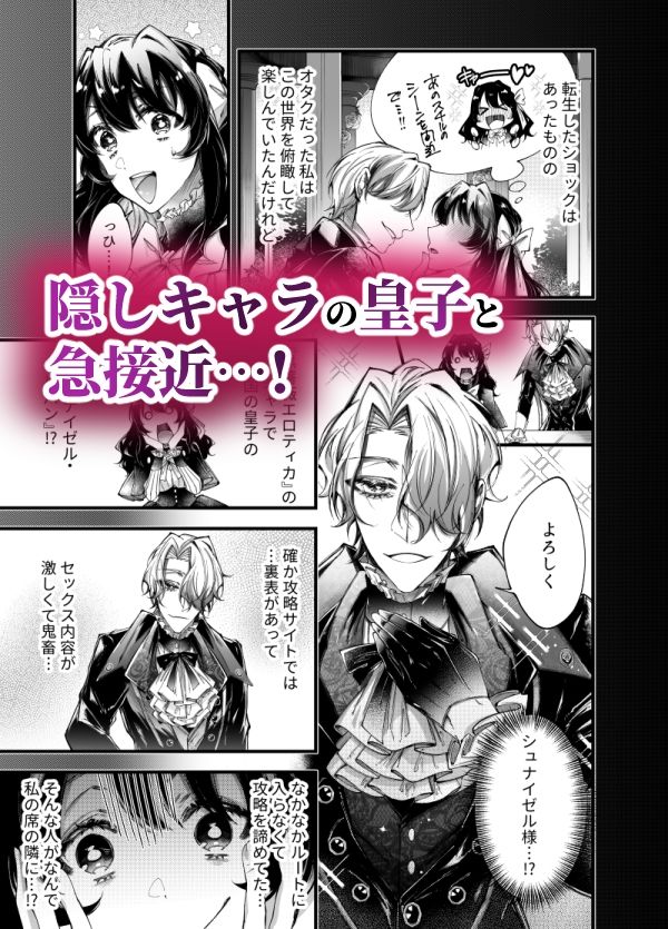サンプル-転生したら闇堕ち皇子の裏ルートに入りました - サンプル画像