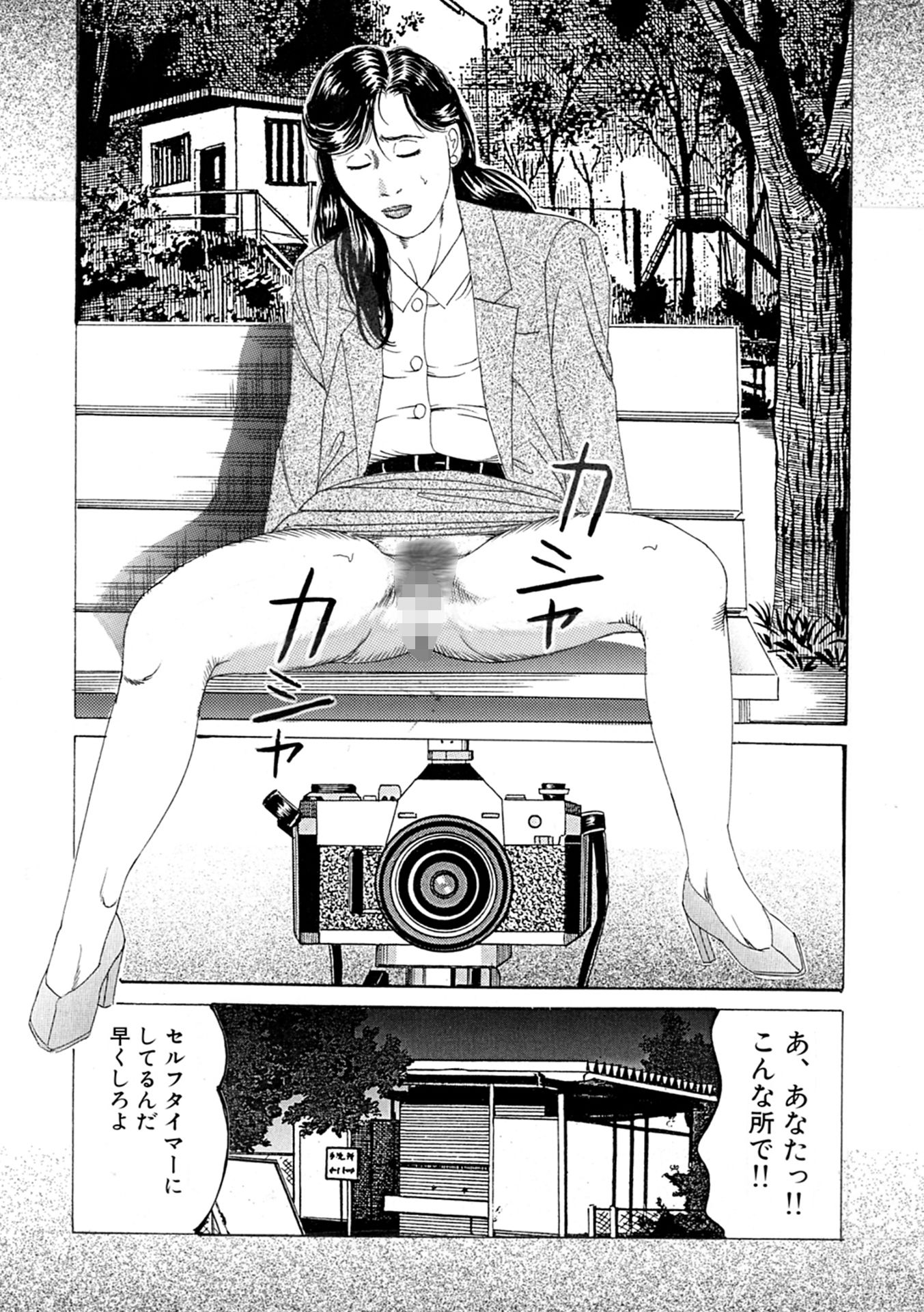 新妻 恥辱悦楽3作品 画像5