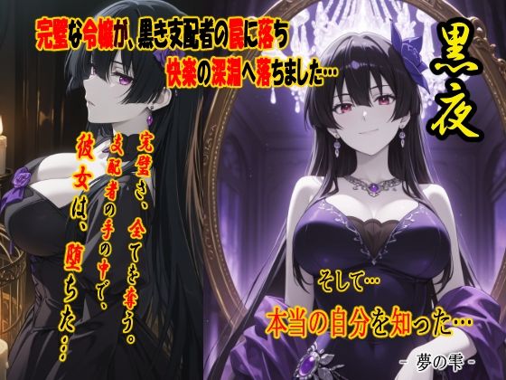 黒夜  完璧な令嬢が、黒き支配者の罠に落ち、快楽の深淵に落ちました…
