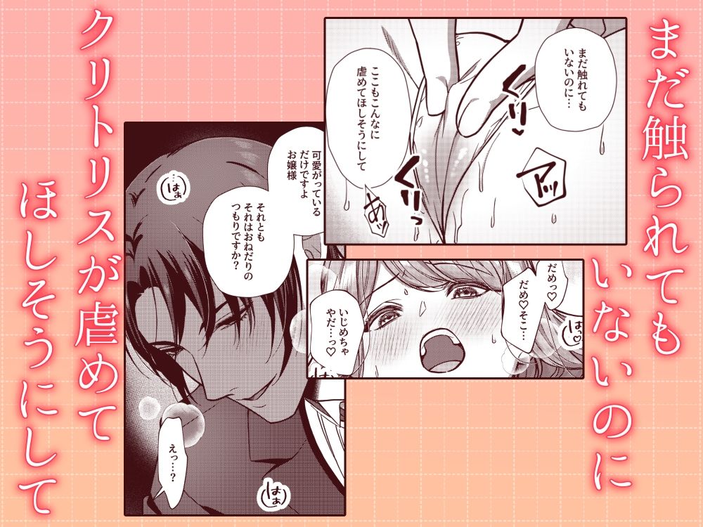 狼執事のとろとろお仕置き日記 サンプル6