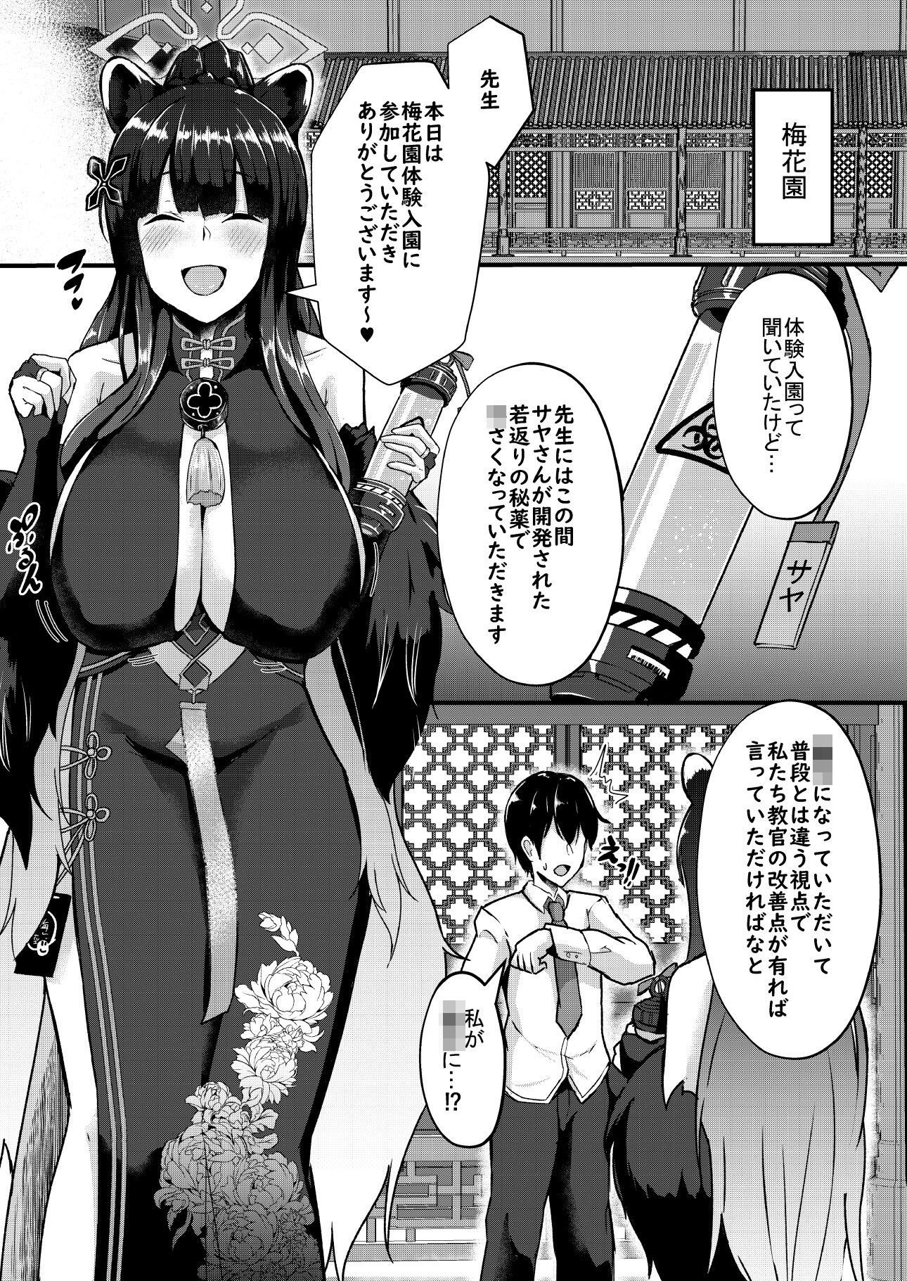 -Bl○e Archive- Summary Book 画像2