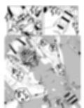 サンプル4