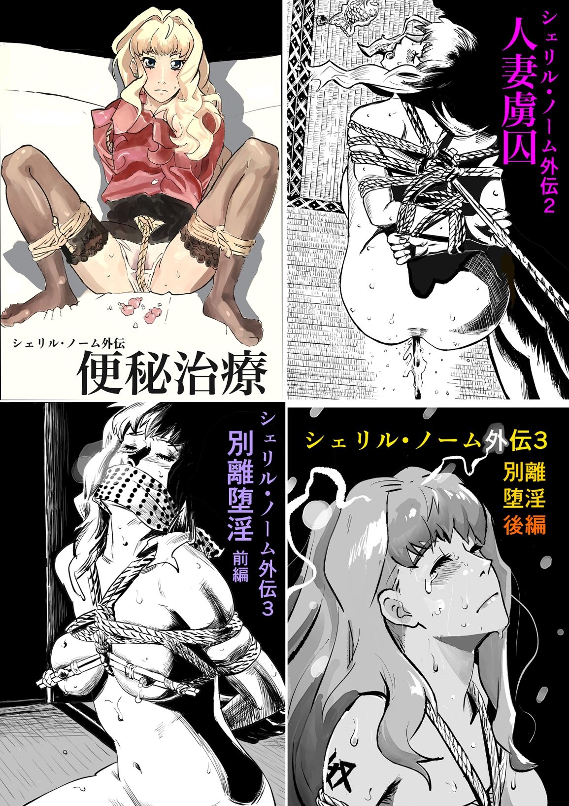 シェリル・ノーム成人男性向け短編漫画集＋短編小説集2