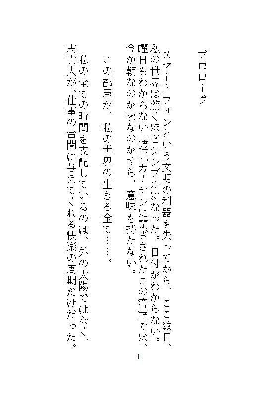 ハイスペ義兄の密室絶頂管理。クリトリス玩具を挿し込まれたままの私は、自宅突撃してきた後輩君とドア一枚隔てて声を殺してイかされる。 サンプル6