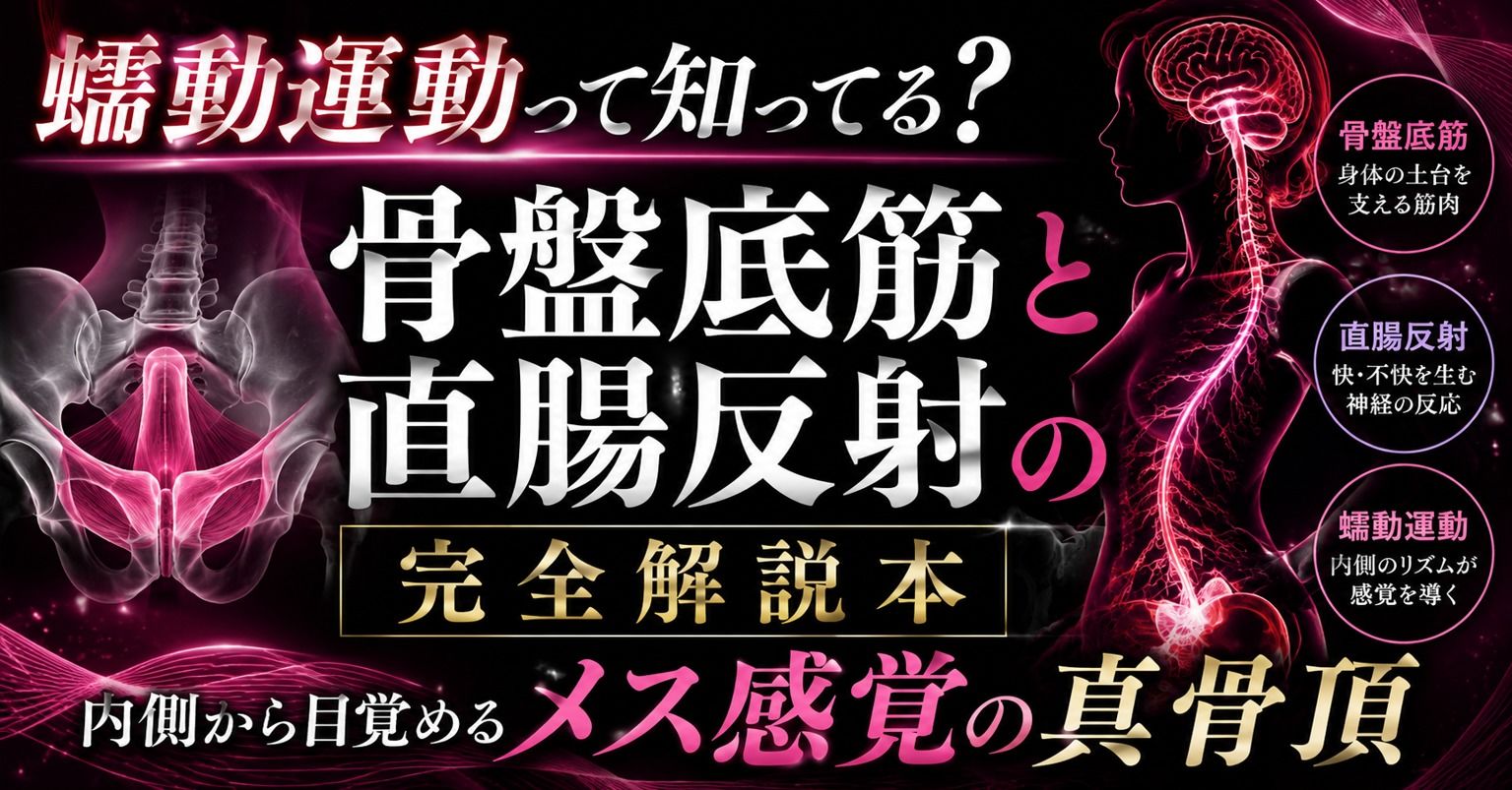 （はーと）メスイキが起きる瞬間（はーと）に発動する  エネマ・アネロスがアナルの中で 勝手に動き出す蠕動運動の起こし方 （はーと）徹底解説（はーと） 画像1
