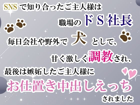 SNSで知り合ったご主人様は職場のドS社長。毎日会社や野外で犬として甘く激...のタイトル画像