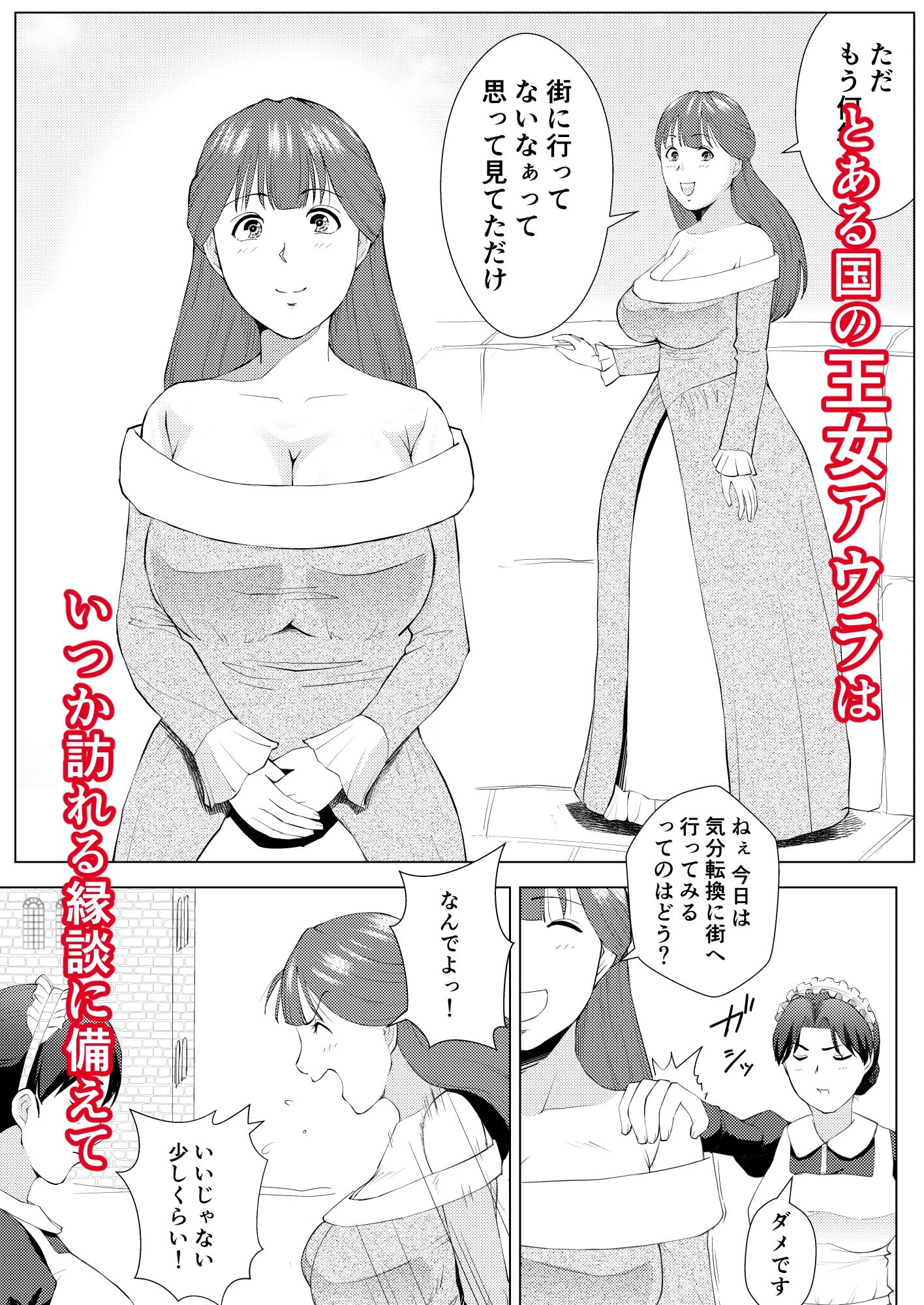 無知な王女のお仕事体験  娼館で初めての性交 画像1